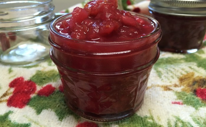 The Easiest Sugar-Free Cranberry Sauce…&nbsp;EVER!!!