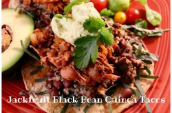 jackfruit-cover-1024x675