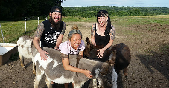 89033b_d06a1fd8048c4665891b3cc92e635fba~mv2