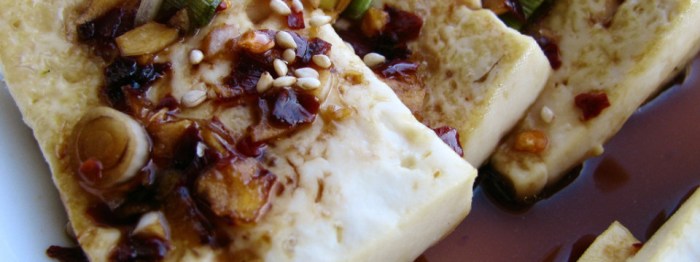 Korean-Pan-Fried-Tofu-960x360